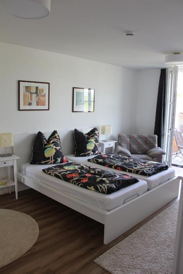 Dreilaenderblick Apartment Lorrach Ngoại thất bức ảnh