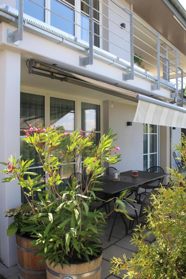 Dreilaenderblick Apartment Lorrach Ngoại thất bức ảnh